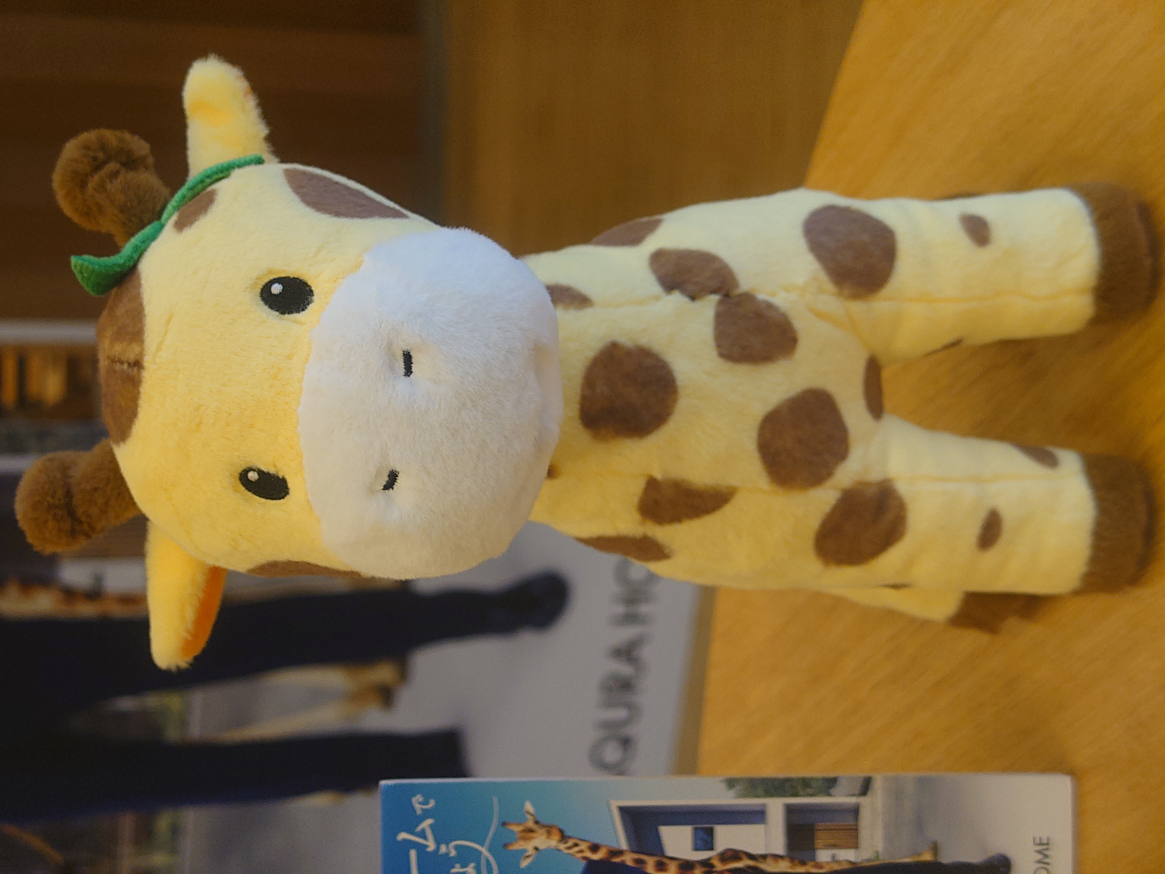 アキュラホーム抽選会の様子