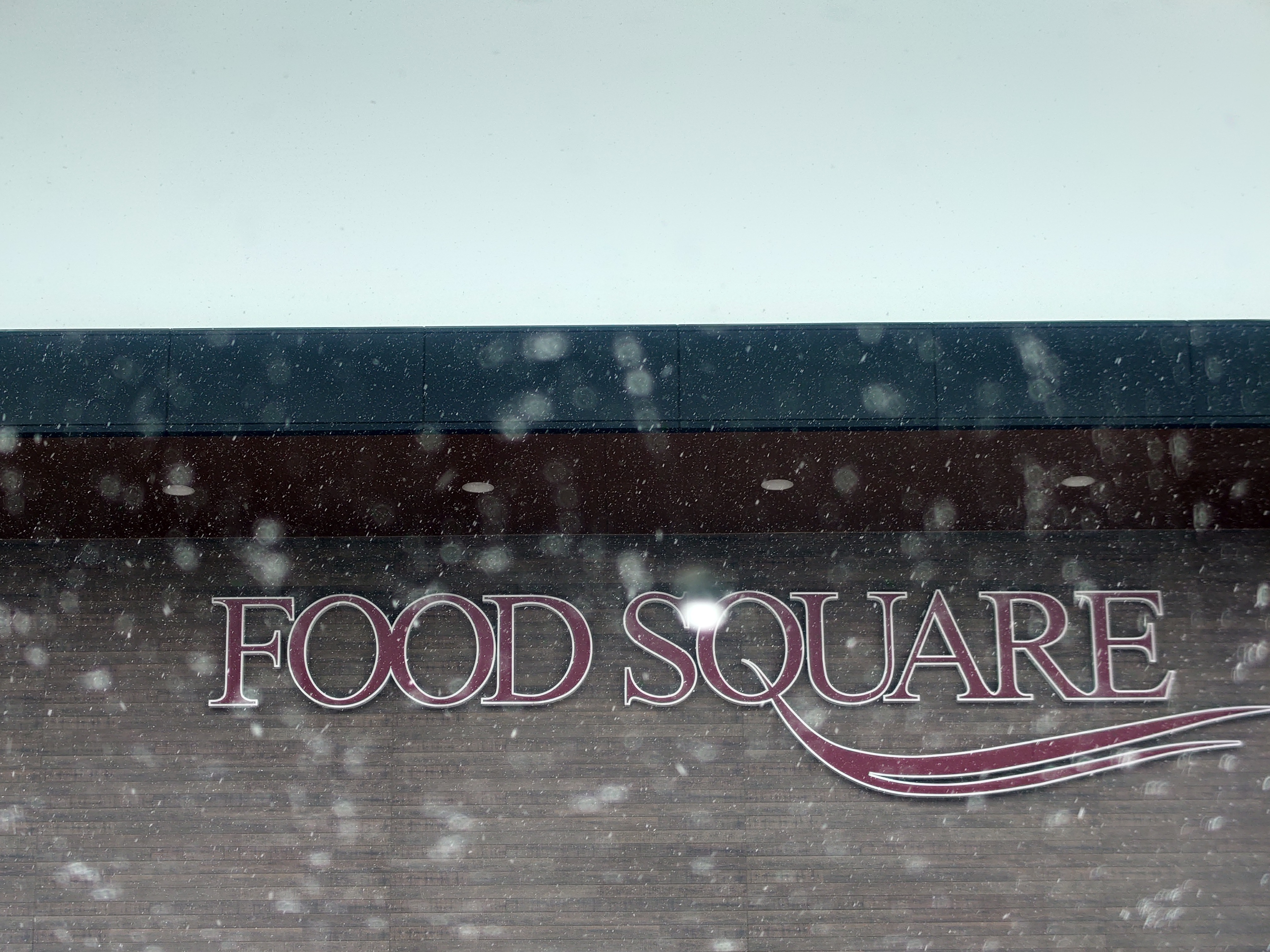 つくば市 雪景色