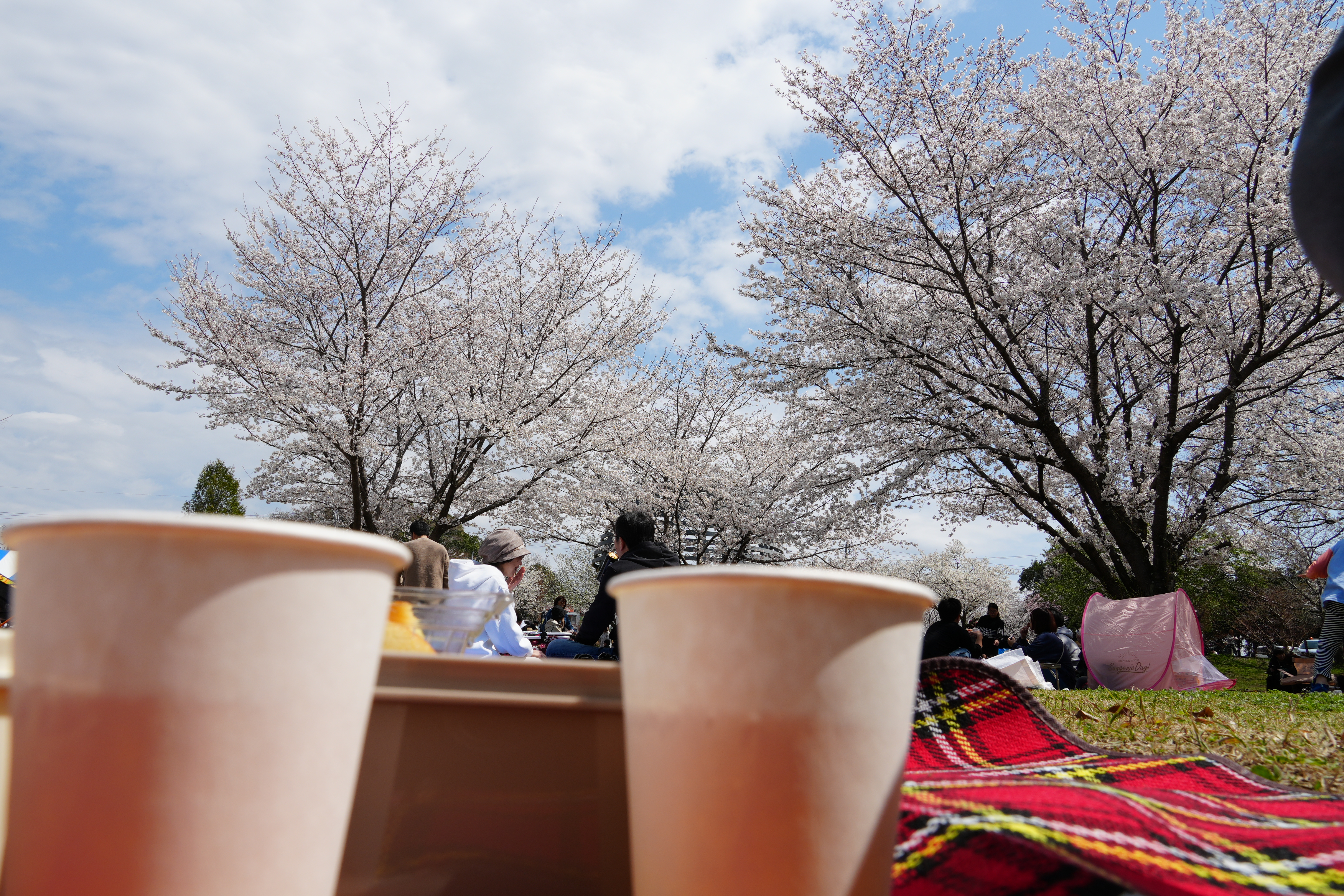 妻の手作り巻物