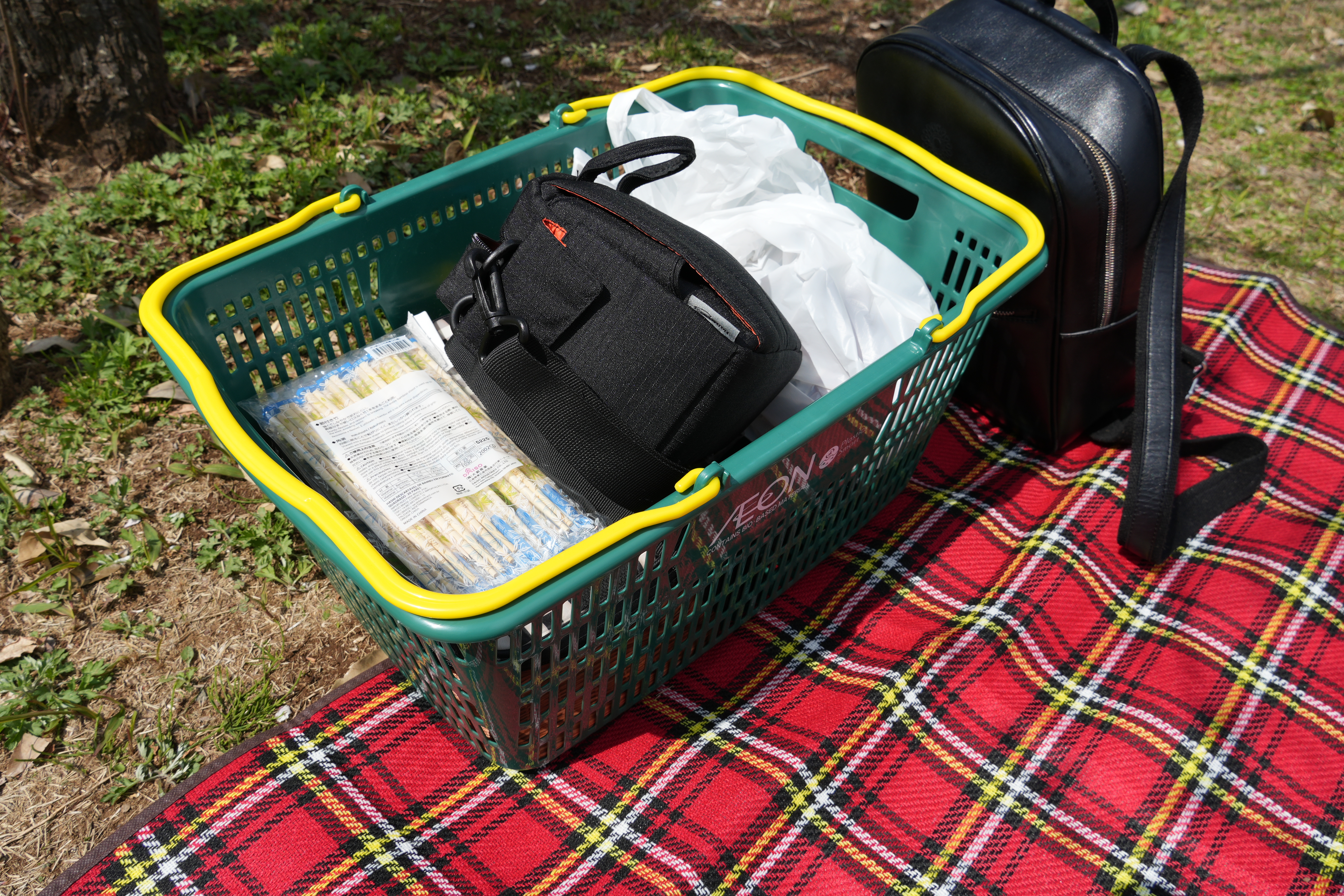 イオンのピクニック籠