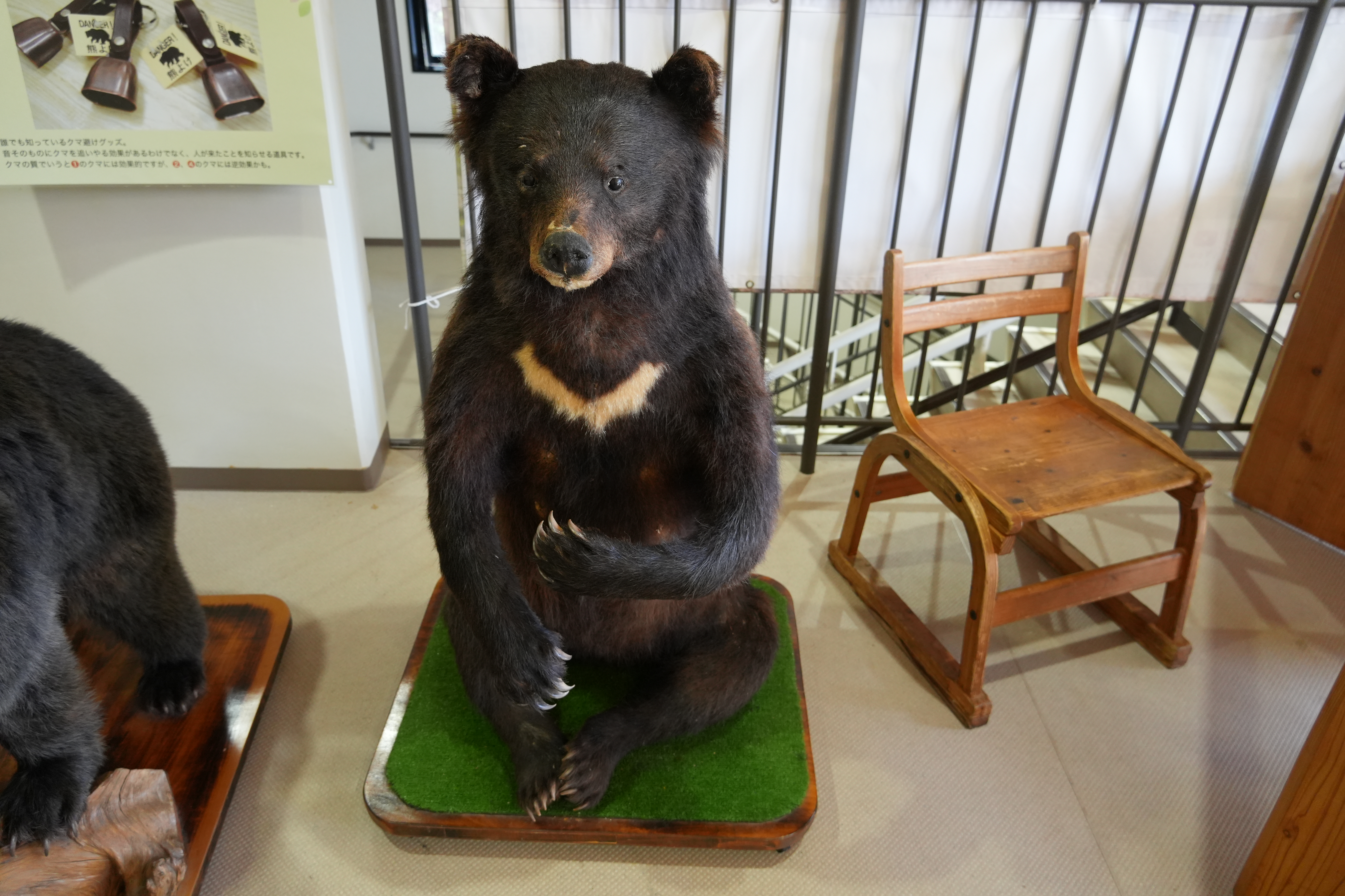 くまの置き物